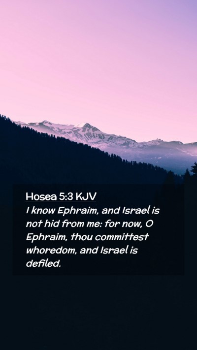 Picture 02 - Hosea 5:3 KJV Mobile Phone Wallpaper - I know Ephraim, and Israel is not hid from me: - Mobile Bible Verse Wallpaper