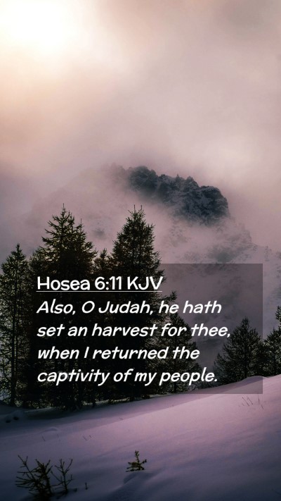 Picture 02 - Hosea 6:11 KJV Mobile Phone Wallpaper - Also, O Judah, he hath set an harvest for thee, - Mobile Bible Verse Wallpaper