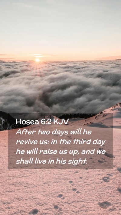Picture 02 - Hosea 6:2 KJV Mobile Phone Wallpaper - After two days will he revive us: in the third - Mobile Bible Verse Wallpaper