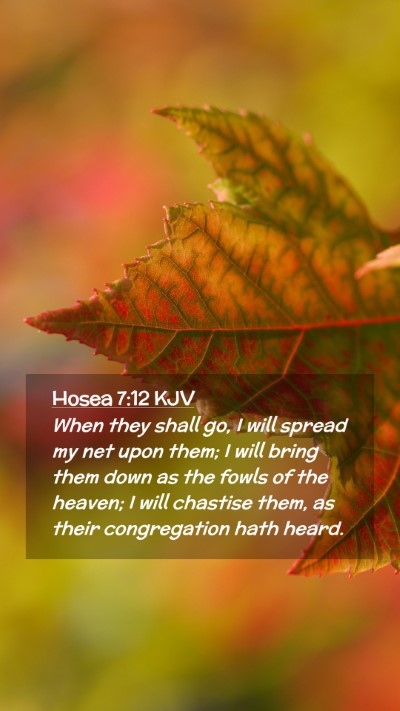 Picture 02 - Hosea 7:12 KJV Mobile Phone Wallpaper - When they shall go, I will spread my net upon - Mobile Bible Verse Wallpaper