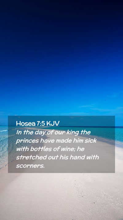 Picture 02 - Hosea 7:5 KJV Mobile Phone Wallpaper - In the day of our king the princes have made him - Mobile Bible Verse Wallpaper