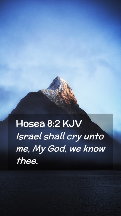 Picture 02 - Hosea 8:2 KJV Mobile Phone Wallpaper - Israel shall cry unto me, My God, we know - Mobile Bible Verse Wallpaper