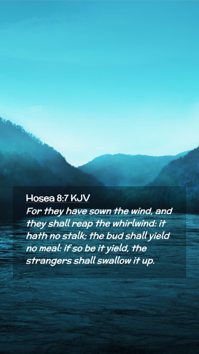 Picture 02 - Hosea 8:7 KJV Mobile Phone Wallpaper - For they have sown the wind, and they shall reap - Mobile Bible Verse Wallpaper