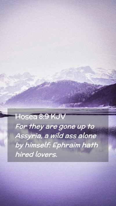 Picture 02 - Hosea 8:9 KJV Mobile Phone Wallpaper - For they are gone up to Assyria, a wild ass alone - Mobile Bible Verse Wallpaper