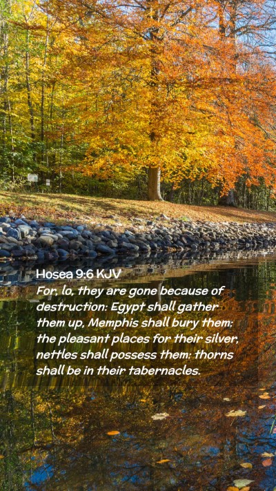 Picture 02 - Hosea 9:6 KJV Mobile Phone Wallpaper - For, lo, they are gone because of destruction: - Mobile Bible Verse Wallpaper