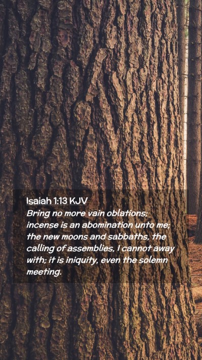 Picture 02 - Isaiah 1:13 KJV Mobile Phone Wallpaper - Bring no more vain oblations; incense is an - Mobile Bible Verse Wallpaper