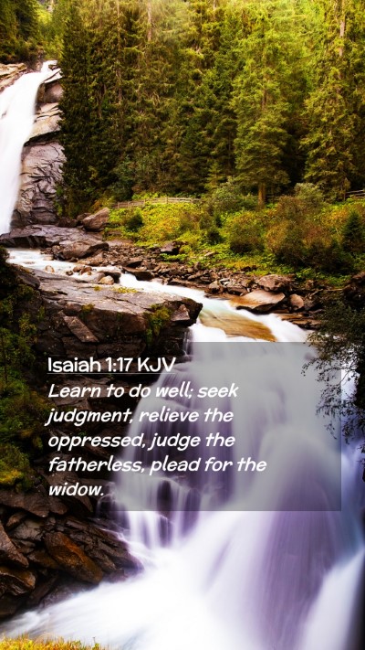 Picture 02 - Isaiah 1:17 KJV Mobile Phone Wallpaper - Learn to do well; seek judgment, relieve the - Mobile Bible Verse Wallpaper