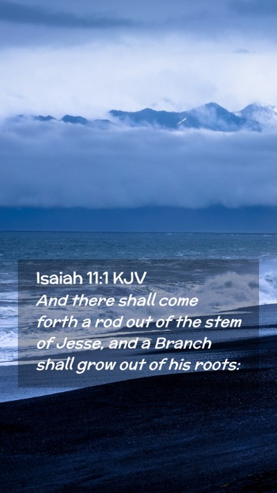 Picture 02 - Isaiah 11:1 KJV Mobile Phone Wallpaper - And there shall come forth a rod out of the stem - Mobile Bible Verse Wallpaper