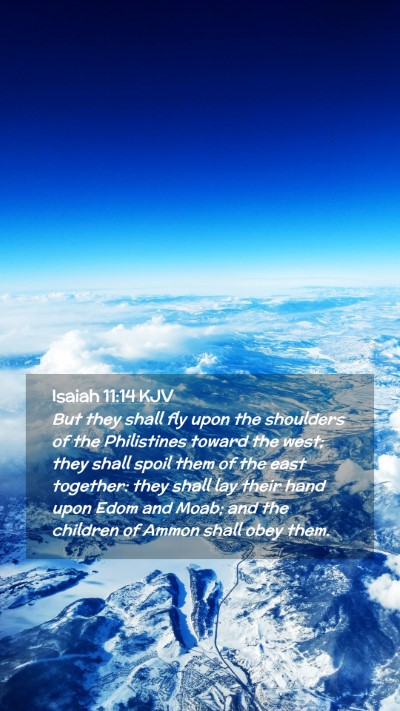 Picture 02 - Isaiah 11:14 KJV Mobile Phone Wallpaper - But they shall fly upon the shoulders of the - Mobile Bible Verse Wallpaper