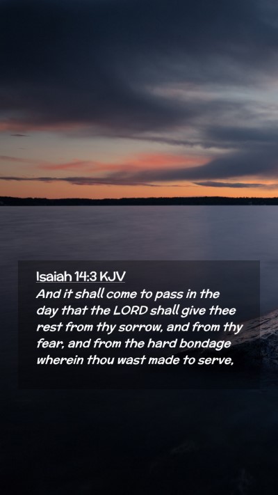 Picture 02 - Isaiah 14:3 KJV Mobile Phone Wallpaper - And it shall come to pass in the day that the - Mobile Bible Verse Wallpaper