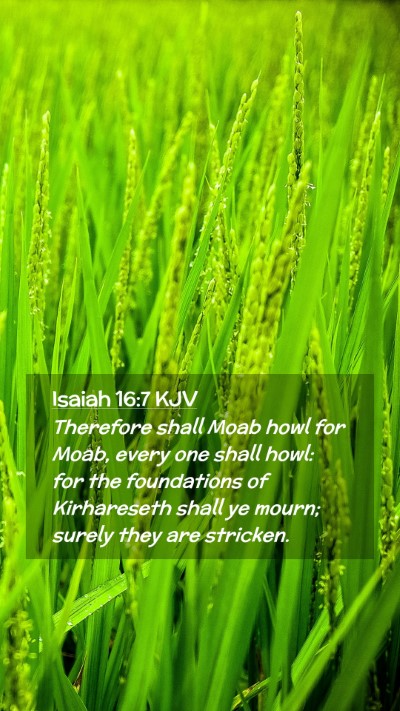 Picture 02 - Isaiah 16:7 KJV Mobile Phone Wallpaper - Therefore shall Moab howl for Moab, every one - Mobile Bible Verse Wallpaper