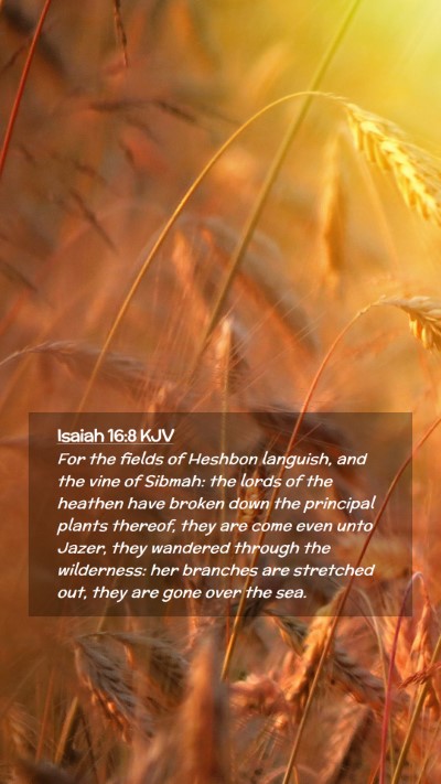 Picture 02 - Isaiah 16:8 KJV Mobile Phone Wallpaper - For the fields of Heshbon languish, and the vine - Mobile Bible Verse Wallpaper