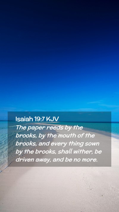 Picture 02 - Isaiah 19:7 KJV Mobile Phone Wallpaper - The paper reeds by the brooks, by the mouth of - Mobile Bible Verse Wallpaper