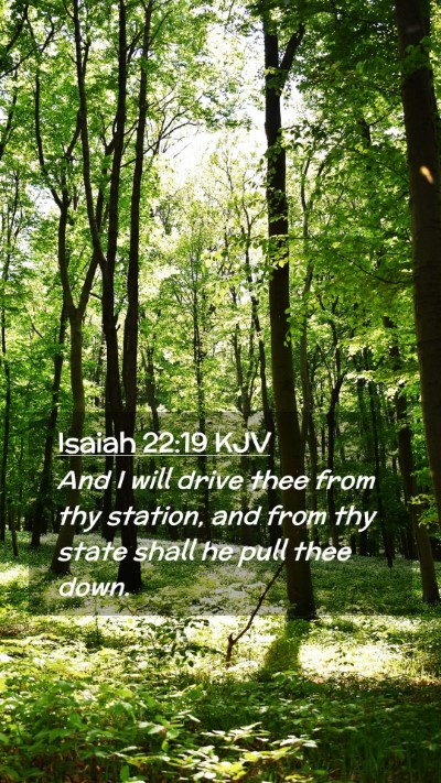 Picture 02 - Isaiah 22:19 KJV Mobile Phone Wallpaper - And I will drive thee from thy station, and from - Mobile Bible Verse Wallpaper