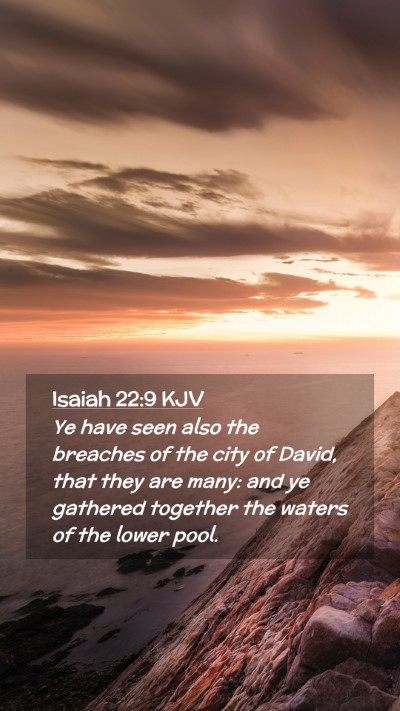 Picture 02 - Isaiah 22:9 KJV Mobile Phone Wallpaper - Ye have seen also the breaches of the city of - Mobile Bible Verse Wallpaper