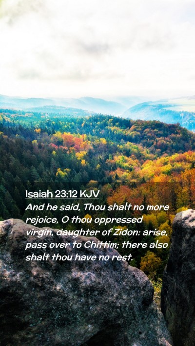 Picture 02 - Isaiah 23:12 KJV Mobile Phone Wallpaper - And he said, Thou shalt no more rejoice, O thou - Mobile Bible Verse Wallpaper