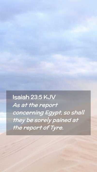 Picture 02 - Isaiah 23:5 KJV Mobile Phone Wallpaper - As at the report concerning Egypt, so shall they - Mobile Bible Verse Wallpaper