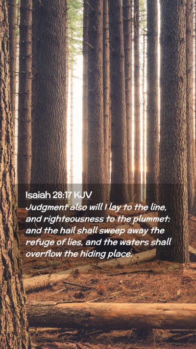 Picture 02 - Isaiah 28:17 KJV Mobile Phone Wallpaper - Judgment also will I lay to the line, and - Mobile Bible Verse Wallpaper