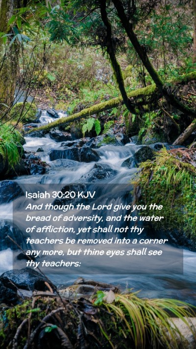 Picture 02 - Isaiah 30:20 KJV Mobile Phone Wallpaper - And though the Lord give you the bread of - Mobile Bible Verse Wallpaper