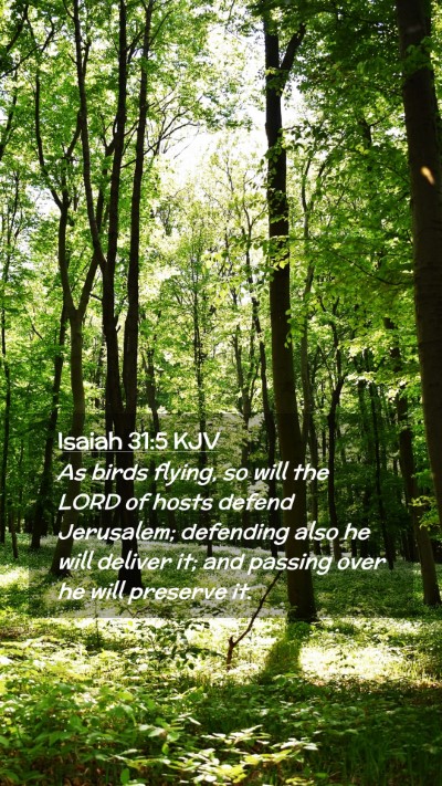 Picture 02 - Isaiah 31:5 KJV Mobile Phone Wallpaper - As birds flying, so will the LORD of hosts defend - Mobile Bible Verse Wallpaper