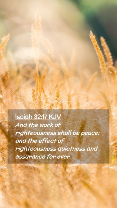 Picture 02 - Isaiah 32:17 KJV Mobile Phone Wallpaper - And the work of righteousness shall be peace; and - Mobile Bible Verse Wallpaper