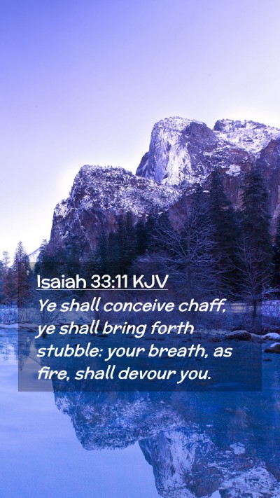 Picture 02 - Isaiah 33:11 KJV Mobile Phone Wallpaper - Ye shall conceive chaff, ye shall bring forth - Mobile Bible Verse Wallpaper