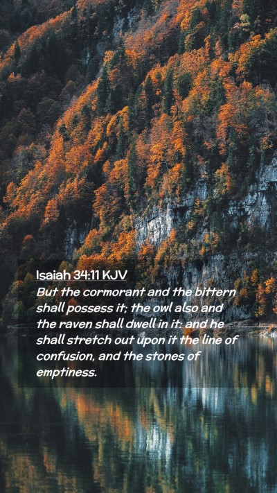 Picture 02 - Isaiah 34:11 KJV Mobile Phone Wallpaper - But the cormorant and the bittern shall possess - Mobile Bible Verse Wallpaper