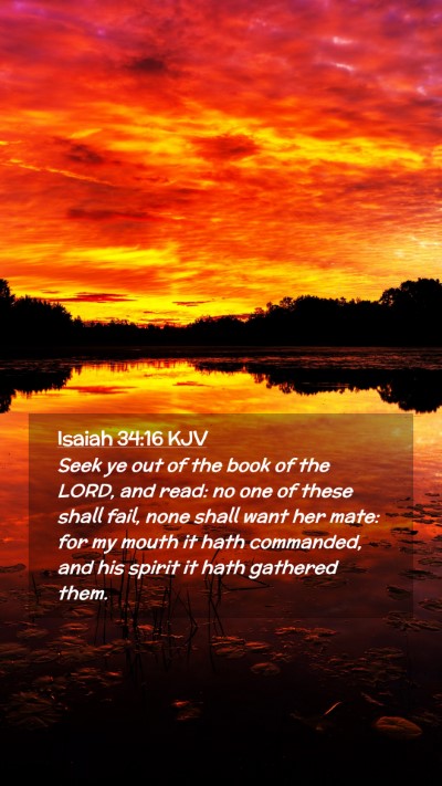 Picture 02 - Isaiah 34:16 KJV Mobile Phone Wallpaper - Seek ye out of the book of the LORD, and read: no - Mobile Bible Verse Wallpaper