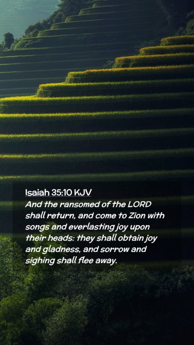 Picture 02 - Isaiah 35:10 KJV Mobile Phone Wallpaper - And the ransomed of the LORD shall return, and - Mobile Bible Verse Wallpaper