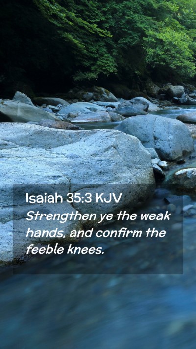 Picture 02 - Isaiah 35:3 KJV Mobile Phone Wallpaper - Strengthen ye the weak hands, and confirm the - Mobile Bible Verse Wallpaper