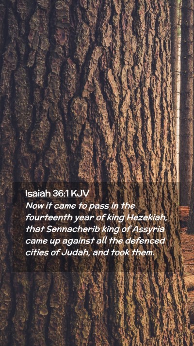 Picture 02 - Isaiah 36:1 KJV Mobile Phone Wallpaper - Now it came to pass in the fourteenth year of - Mobile Bible Verse Wallpaper