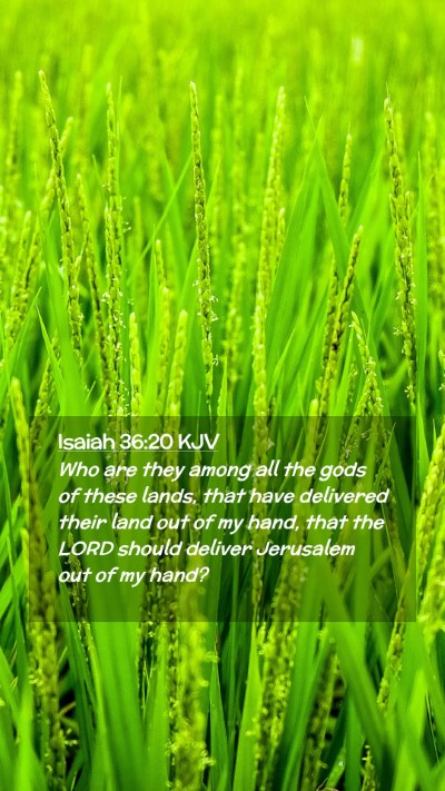 Picture 02 - Isaiah 36:20 KJV Mobile Phone Wallpaper - Who are they among all the gods of these lands, - Mobile Bible Verse Wallpaper