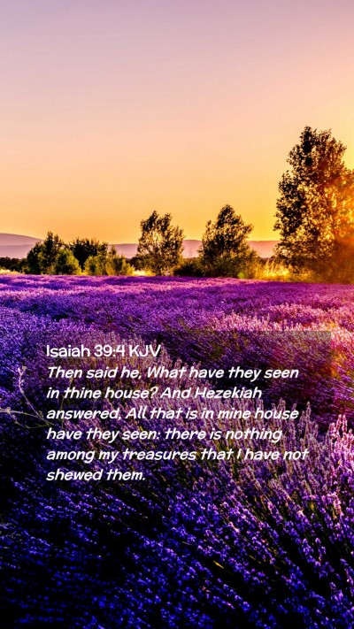 Picture 02 - Isaiah 39:4 KJV Mobile Phone Wallpaper - Then said he, What have they seen in thine house? - Mobile Bible Verse Wallpaper