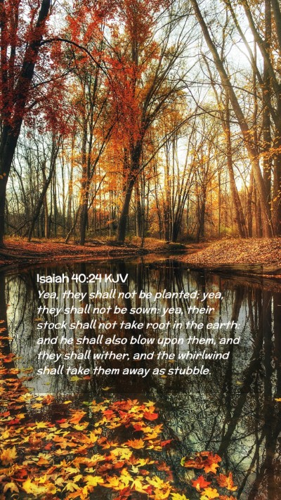 Picture 02 - Isaiah 40:24 KJV Mobile Phone Wallpaper - Yea, they shall not be planted; yea, they shall - Mobile Bible Verse Wallpaper