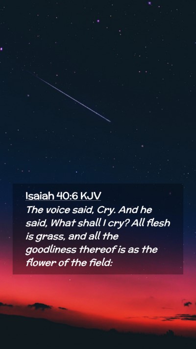 Picture 02 - Isaiah 40:6 KJV Mobile Phone Wallpaper - The voice said, Cry. And he said, What shall I - Mobile Bible Verse Wallpaper