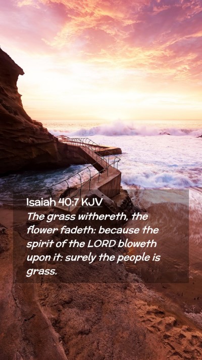 Picture 02 - Isaiah 40:7 KJV Mobile Phone Wallpaper - The grass withereth, the flower fadeth: because - Mobile Bible Verse Wallpaper