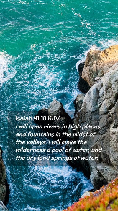 Picture 02 - Isaiah 41:18 KJV Mobile Phone Wallpaper - I will open rivers in high places, and fountains - Mobile Bible Verse Wallpaper