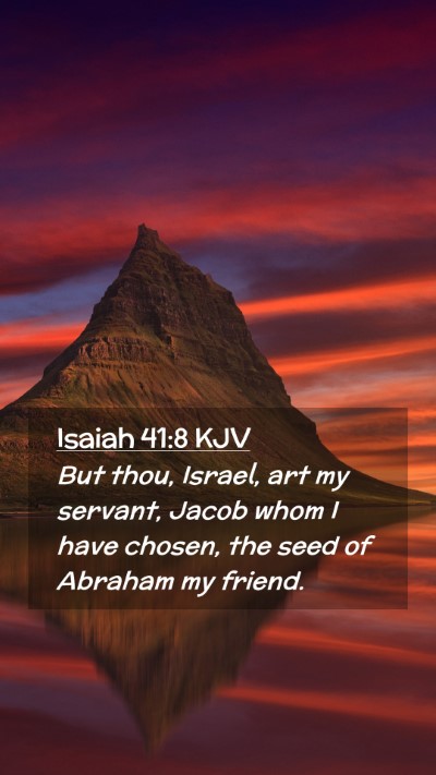 Picture 02 - Isaiah 41:8 KJV Mobile Phone Wallpaper - But thou, Israel, art my servant, Jacob whom I - Mobile Bible Verse Wallpaper