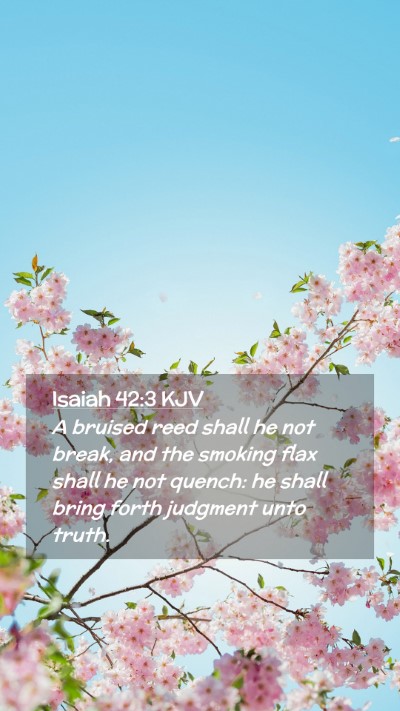 Picture 02 - Isaiah 42:3 KJV Mobile Phone Wallpaper - A bruised reed shall he not break, and the - Mobile Bible Verse Wallpaper