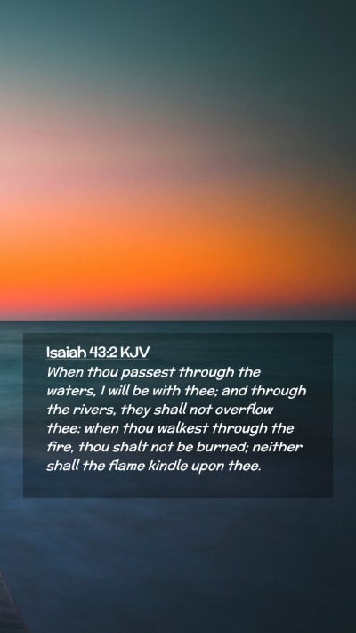 Picture 02 - Isaiah 43:2 KJV Mobile Phone Wallpaper - When thou passest through the waters, I will be - Mobile Bible Verse Wallpaper