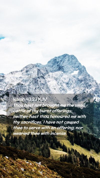 Picture 02 - Isaiah 43:23 KJV Mobile Phone Wallpaper - Thou hast not brought me the small cattle of thy - Mobile Bible Verse Wallpaper