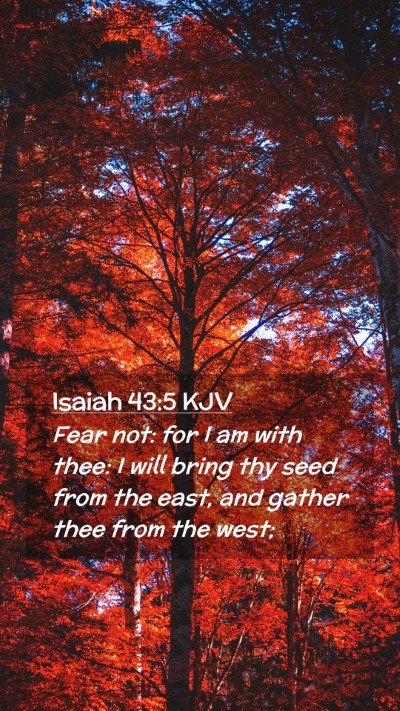 Picture 02 - Isaiah 43:5 KJV Mobile Phone Wallpaper - Fear not: for I am with thee: I will bring thy - Mobile Bible Verse Wallpaper