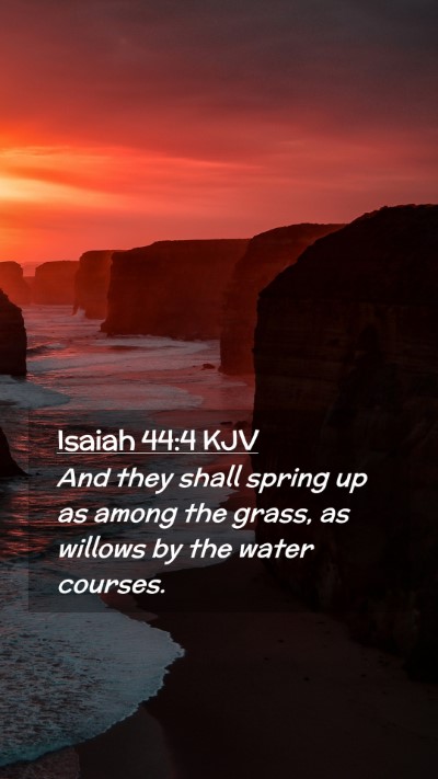 Picture 02 - Isaiah 44:4 KJV Mobile Phone Wallpaper - And they shall spring up as among the grass, as - Mobile Bible Verse Wallpaper