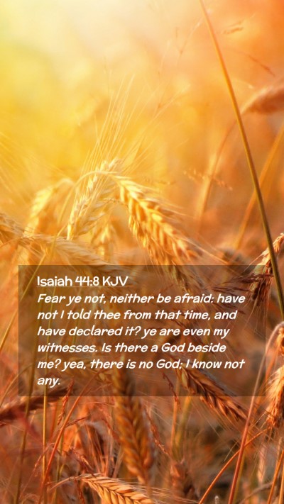 Picture 02 - Isaiah 44:8 KJV Mobile Phone Wallpaper - Fear ye not, neither be afraid: have not I told - Mobile Bible Verse Wallpaper