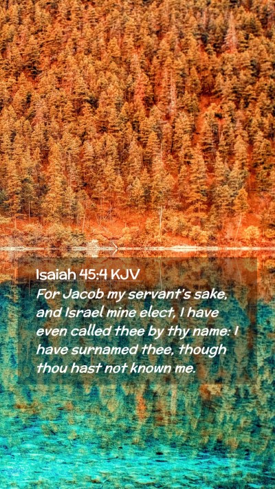 Picture 02 - Isaiah 45:4 KJV Mobile Phone Wallpaper - For Jacob my servant's sake, and Israel mine - Mobile Bible Verse Wallpaper