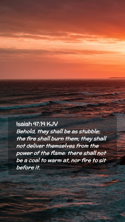 Picture 02 - Isaiah 47:14 KJV Mobile Phone Wallpaper - Behold, they shall be as stubble; the fire shall - Mobile Bible Verse Wallpaper