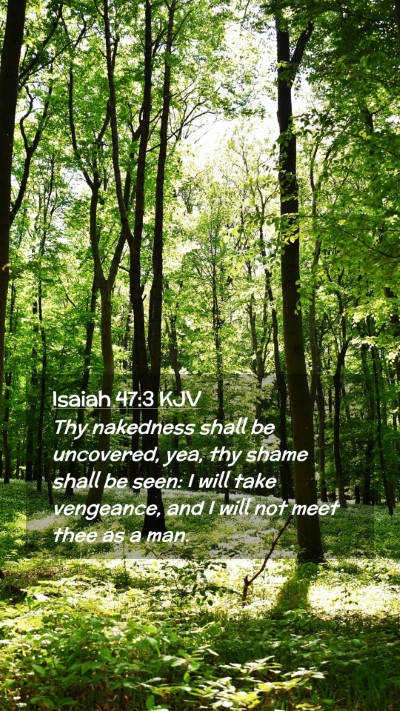 Picture 02 - Isaiah 47:3 KJV Mobile Phone Wallpaper - Thy nakedness shall be uncovered, yea, thy shame - Mobile Bible Verse Wallpaper