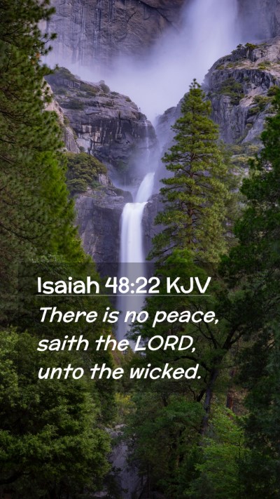 Picture 02 - Isaiah 48:22 KJV Mobile Phone Wallpaper - There is no peace, saith the LORD, unto the - Mobile Bible Verse Wallpaper