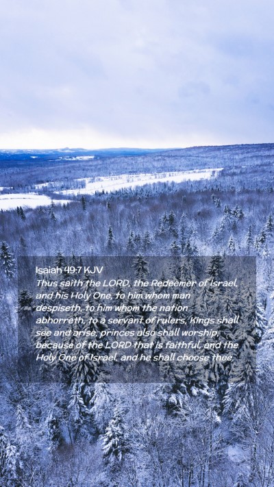 Picture 02 - Isaiah 49:7 KJV Mobile Phone Wallpaper - Thus saith the LORD, the Redeemer of Israel, and - Mobile Bible Verse Wallpaper