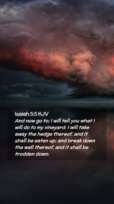 Picture 02 - Isaiah 5:5 KJV Mobile Phone Wallpaper - And now go to; I will tell you what I will do to - Mobile Bible Verse Wallpaper